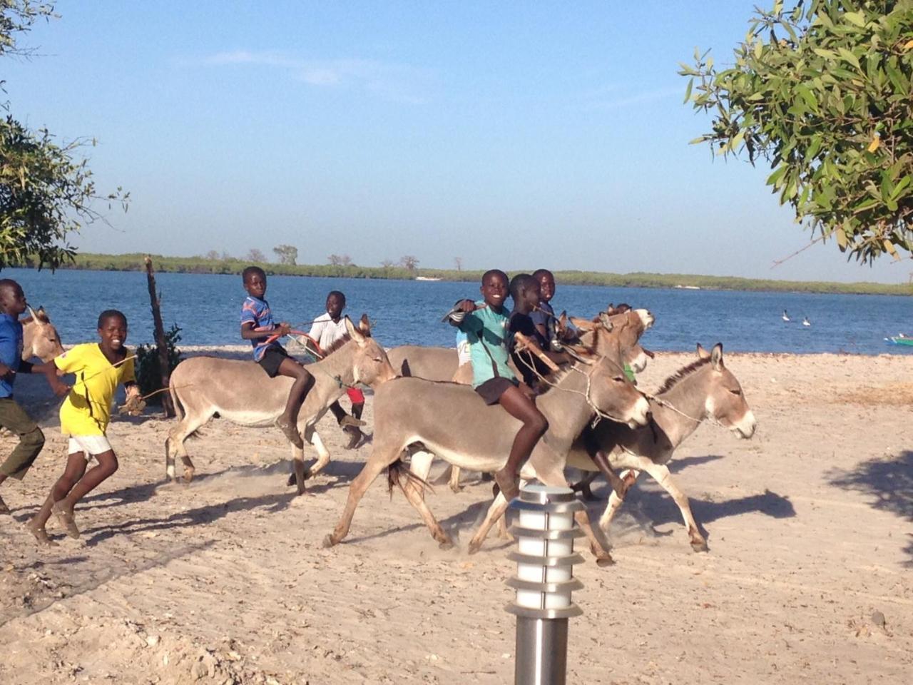 Terra Lodge Senegal M'Bour Eksteriør bilde
