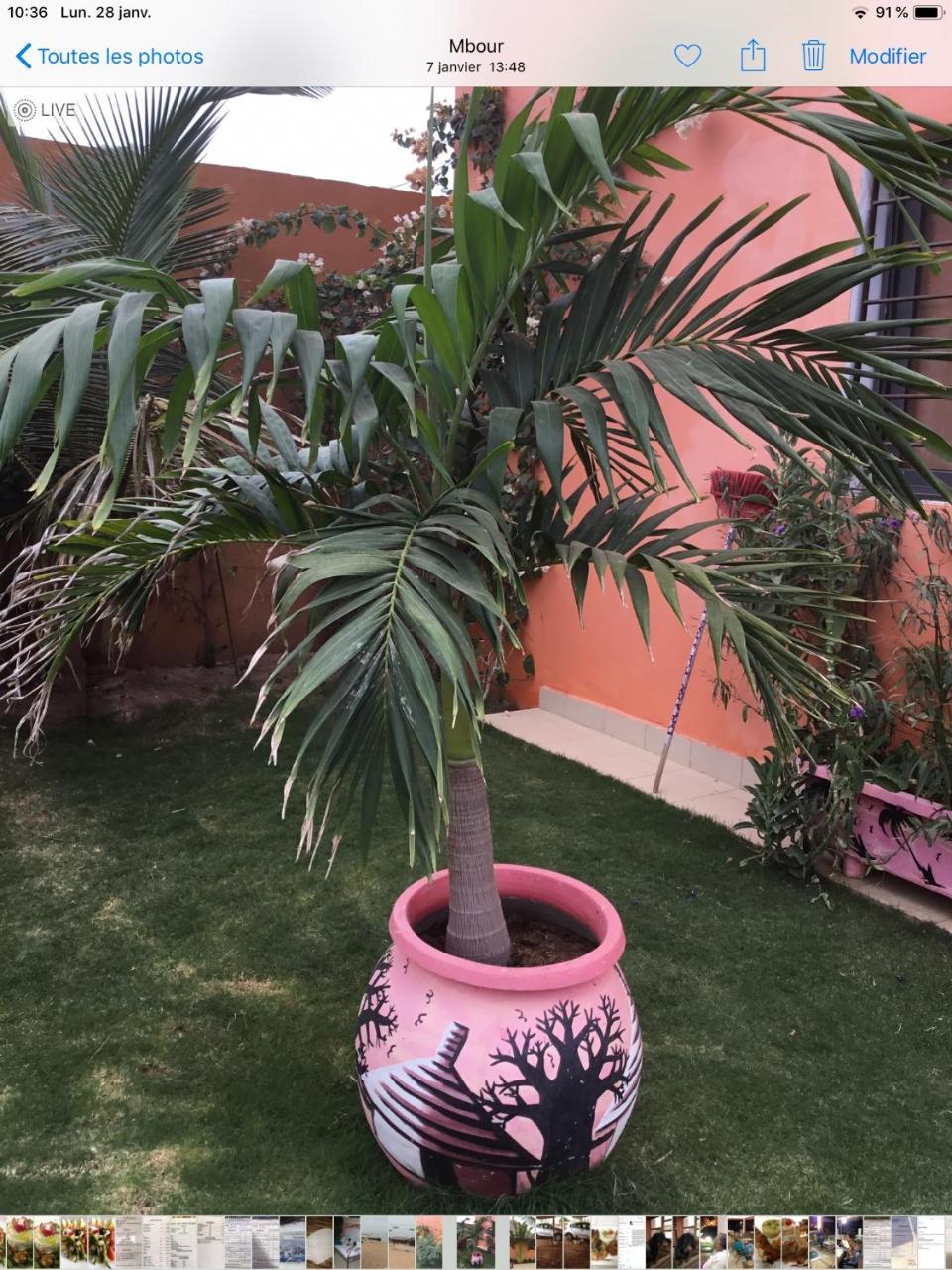 Terra Lodge Senegal M'Bour Eksteriør bilde